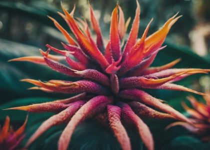 exploring plant diversity in pisa