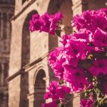 photography tips for pisa s botanical gardens