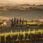 tuscan cuisine in pisa