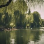 wildlife along arno river